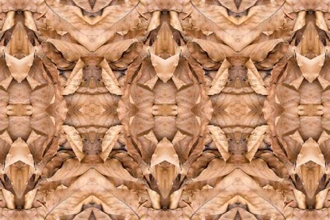 Background of dry leaves Foto stock