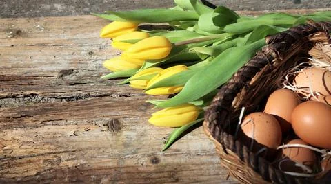 Background easter. A basket with eggs stands and yellow tulips on a wooden ru Foto stock