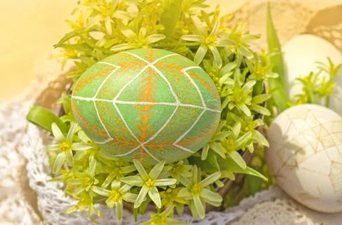 Background with Easter eggs and flower blossom 스톡 사진