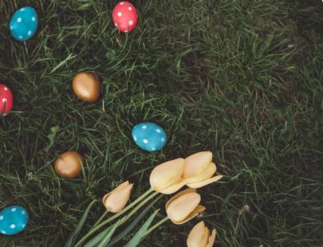 Background of Easter eggs on grass Stock Photos