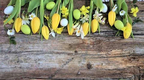 Background easter. A yellow tulips and easter eggs on a wooden rustic backgro Stock Photos
