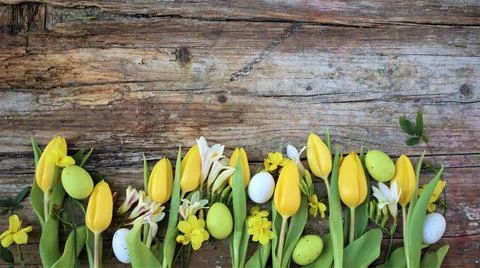Background easter. A yellow tulips and easter eggs on a wooden rustic backgro Fotos Stock