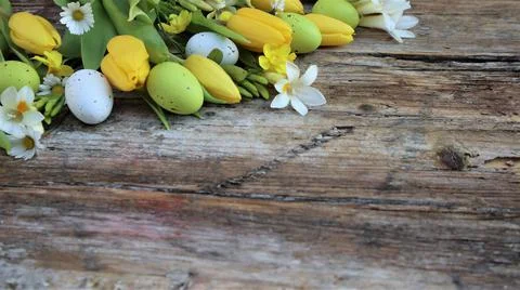 Background easter. A yellow tulips and easter eggs on a wooden rustic backgro Stock Photos