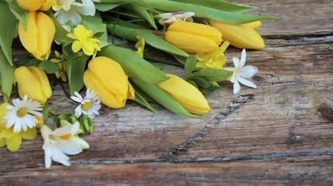 Background easter. A yellow tulips and easter eggs on a wooden rustic backg.. Stock Photos
