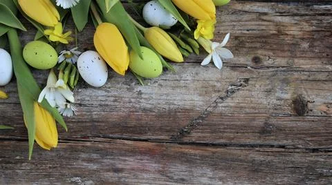 Background easter. A yellow tulips and easter eggs on a wooden rustic backg.. Stock Photos