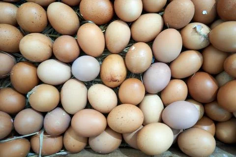 Background with egg texture Stock Photos