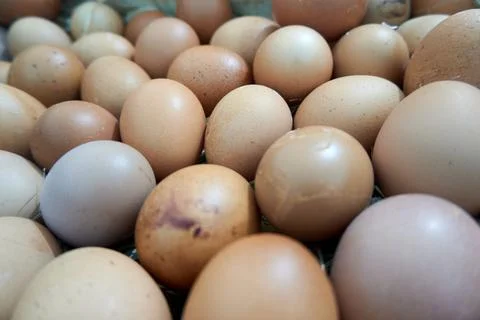 Background with egg texture Stock Photos