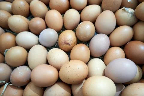 Background with egg texture Stock Photos