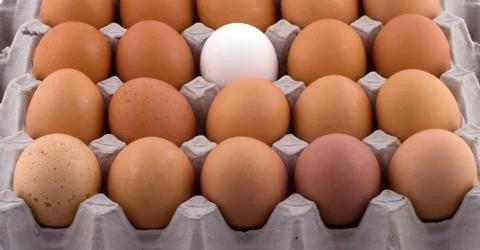 Background from eggs. Stock Photos