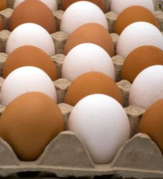 Background from eggs. Stock Photos