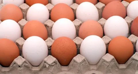 Background from eggs. Stock Photos