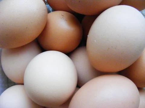Background eggs in straw Stock Photos