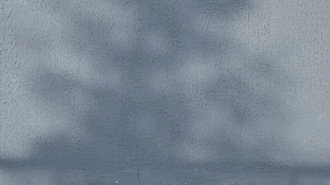 Background of empty concrete wall in industrial area with shadows from tree Stock Footage 253330148