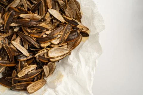 Background empty Sunflower seed shells Stock Photos