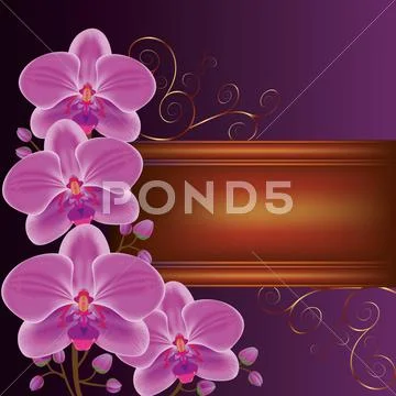 Background with exotic flower orchids, decorated with golden curls. Stock Illustration