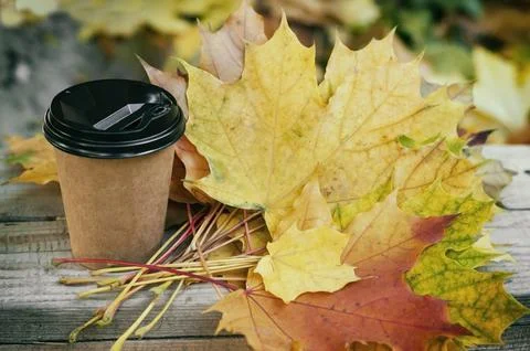 Background of fallen multi-colored maple leaves lie on the grass, coffee break Stock Photos