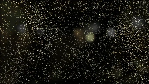 Background with falling golden glitter particles render 3d Stock-Footage 166680706