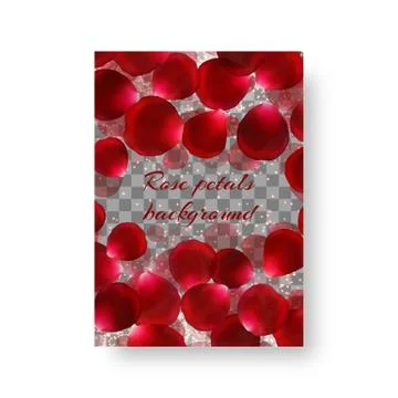 Background with falling petals Stock Illustration