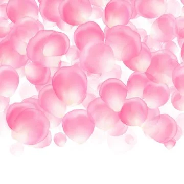 Background with falling pink petals Stock Illustration
