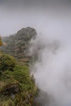 Background of the Fanjing mountain surrounded by the dense fog Stock Photos