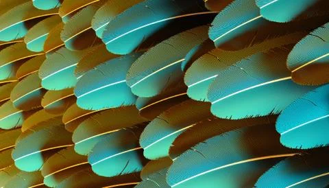 Background Of Feathers Shimmering In The Rays Of Light Stock Illustration