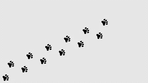 A background featuring diagonal footprints of animals such as dogs and cats. Stock Footage 335000606
