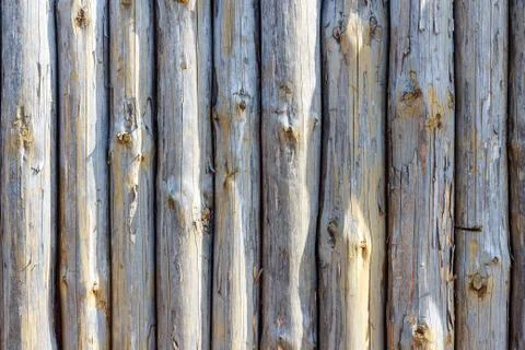 Background of fence from trunks of trees Stock Photos