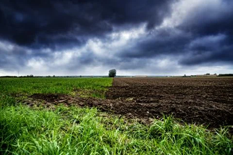 Background field rain Stock Photos