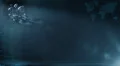 Background for financial info. Loop. HD Footage