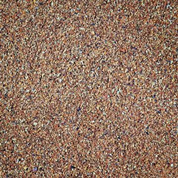 Background of fine sandy shell close-up Stock Photos