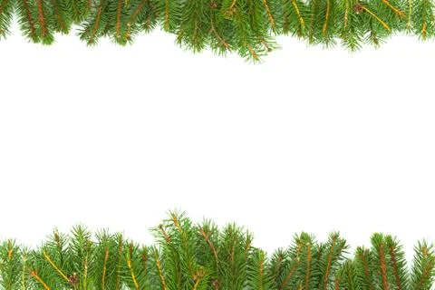 Background with fir Stock Photos