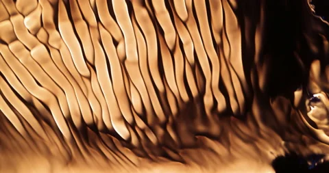 Background With Fire Stock Footage 158937511