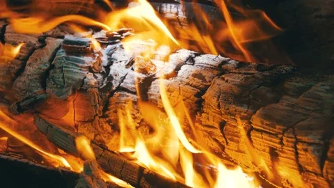 Background of a Fire, a Log Burns Stock Footage 79258538