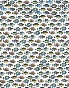 Background fishing pattern with a pan fish collage Stock Photos
