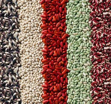 Background with five types of beans. Stock Photos