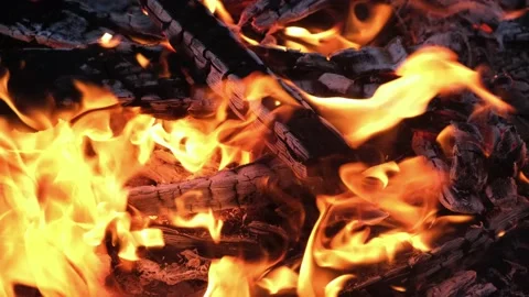 Background Flame Burning Fire Close Up Hot Coals Stock Footage 155445582