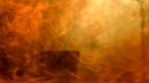 Background flame solid - threat of large fire. Stock Footage 78198527