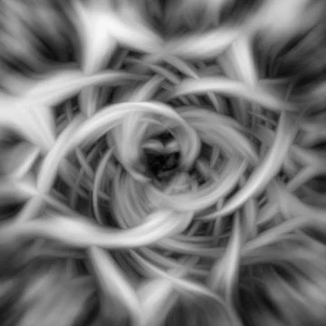 Background Flames BW 스톡 일러스트