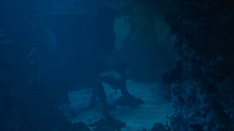 Background of a flooded robot Video stock 94425964