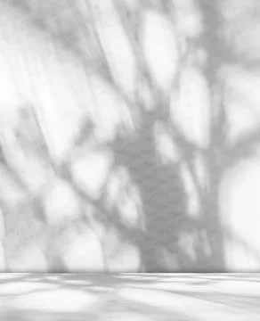 Background Floor Shadow Wall Kitchen Concrete White Texture Light Texture Stock Photos