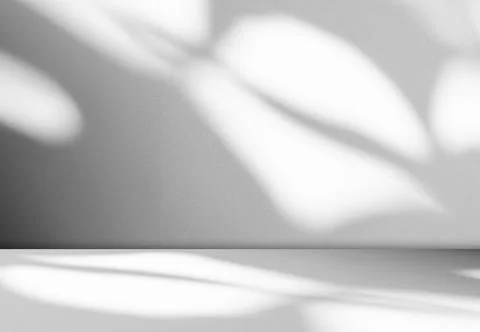 Background Floor Shadow Wall Kitchen Concrete White Texture Light Texture 写真素材