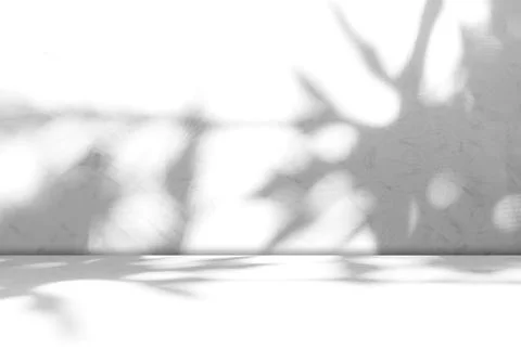 Background Floor Shadow Wall Kitchen Concrete White Texture Light Texture 스톡 사진