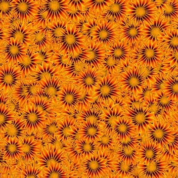 Background from the flower bud of Gatsania distributed in random. Stock Illustration