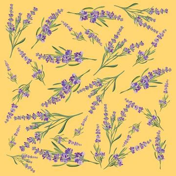 Background with flower frame Lavender for Invitation card Stock Illustration