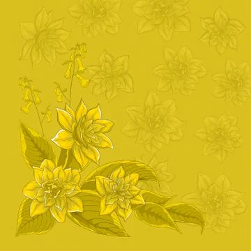 Background, flower narcissus Stock Illustration
