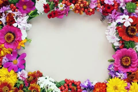 Background of flowers for congratulation. Stock Photos