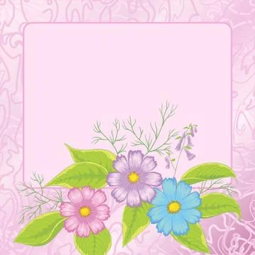 Background, flowers cosmos and frame Stock Illustration