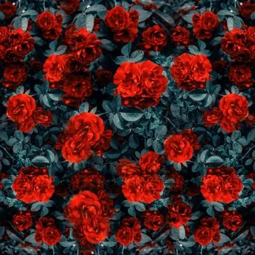 Background flowers イラスト素材