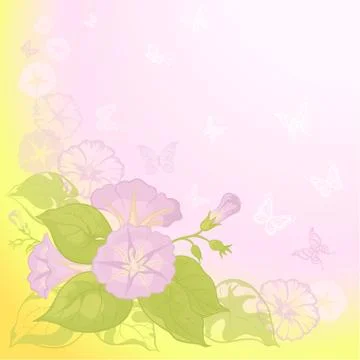 Background with flowers ipomoea Stock Illustration