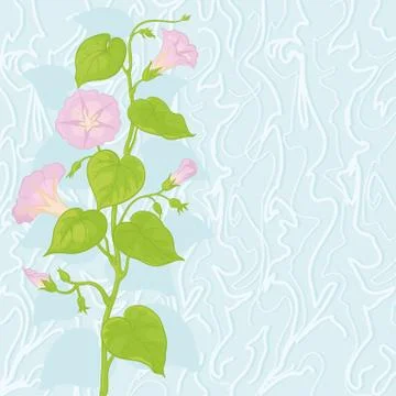 Background with flowers Ipomoea Stock-Illustration